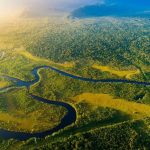 Rainforest rain forest map world rainforests tropical locations america where located forests areas area jungles africa each green central tropicales